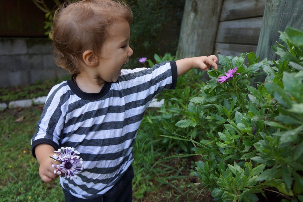 1939675_10152641274097785_974646970_o 1939675_10152641274097785_974646970_o